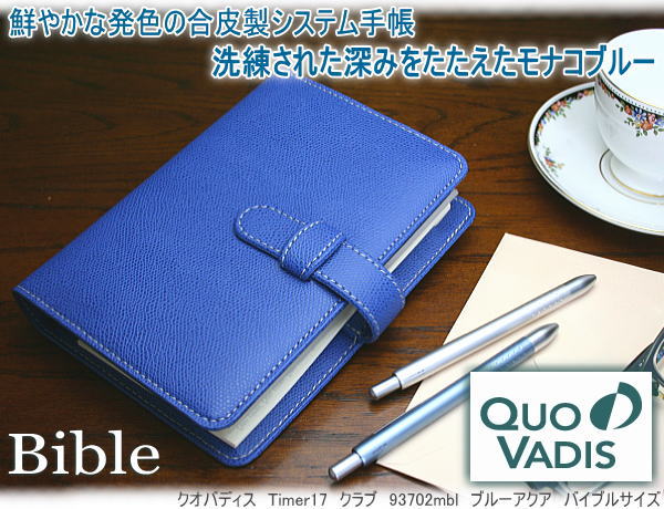 ¥¯¥ª¥Ð¥Ç¥£¥¹¡¡¥·¥¹¥Æ¥à¼êÄ¢¡¡¥Ö¥é¥ó¥É