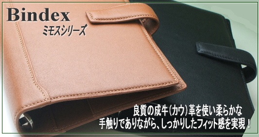 bindex �ߥ⥹