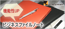 �r�W�l�X�o�C���_�[