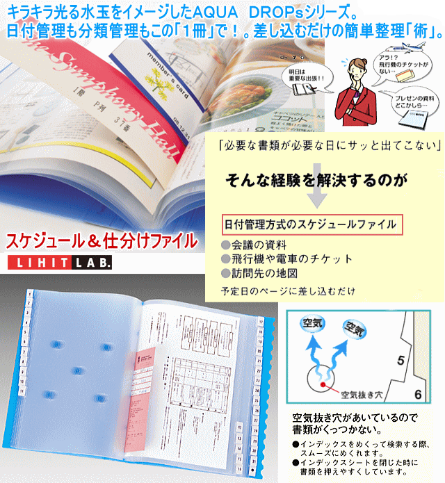 リヒトラブ スケジュール 仕分けファイル サイズ 31仕切 システム手帳 リフィル通販 マエジム